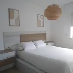 شقة 