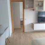 شقة 